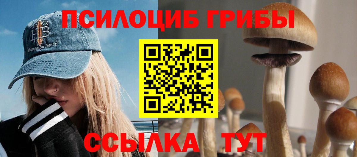 Протвино  Псилоцибиновые грибы Psilocybine cubensis  Вход с VPN 