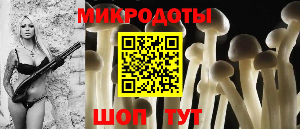Галлюциногенные грибы Magic Shrooms Протвино